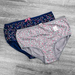Wholesale.Panties 754a Assorted 2XL