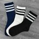 Оптом.Шкарпетки G1430 Асорті