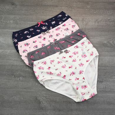 Wholesale.Panties 756-1 Assorted-2XL