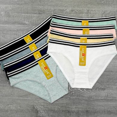 Wholesale.Panties 2026 Assorted