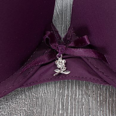 Wholesale.Bra 3571-1 eggplant